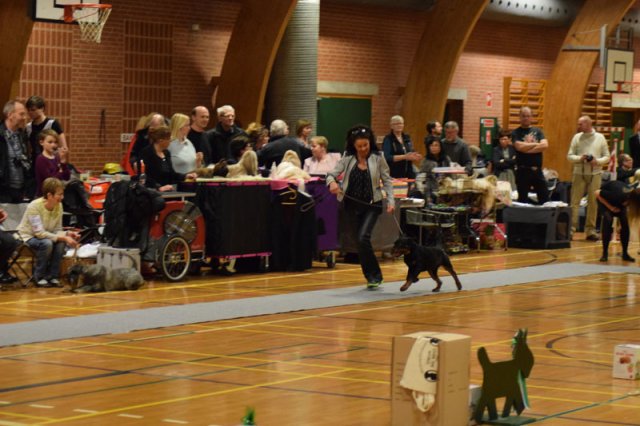 09-03-2015 Brædstrup