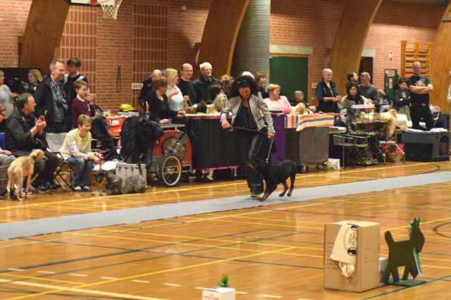 09-03-2015 Brædstrup