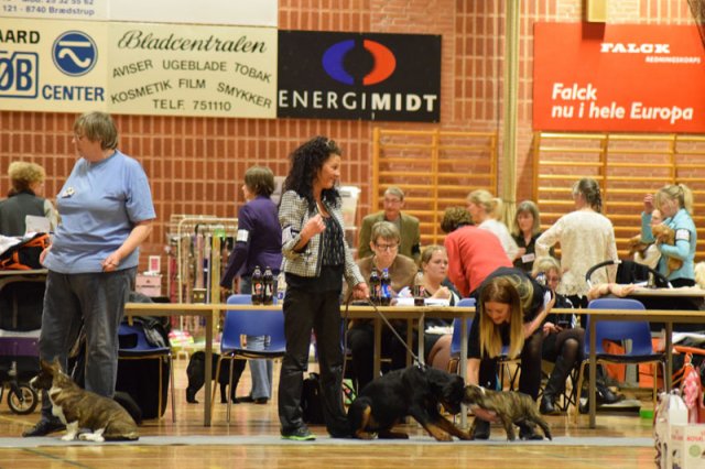 09-03-2015 Brædstrup