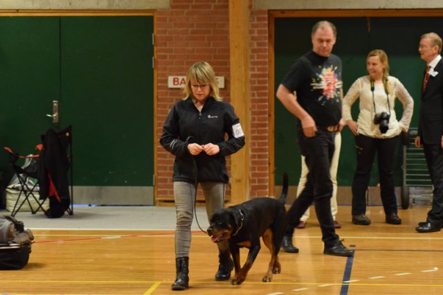 09-03-2015 Brædstrup