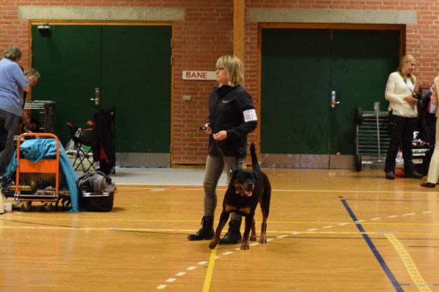 09-03-2015 Brædstrup