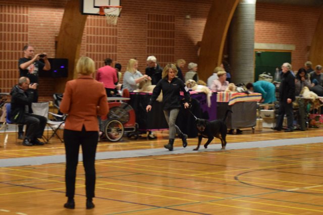 09-03-2015 Brædstrup