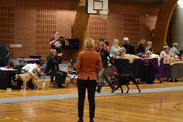 09-03-2015 Brædstrup