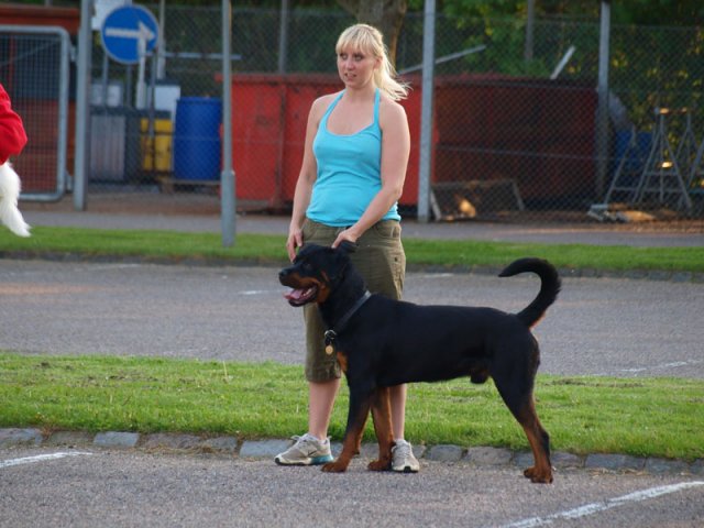 Boris
