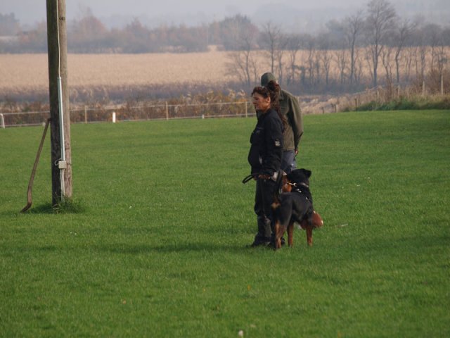 2011-11-06