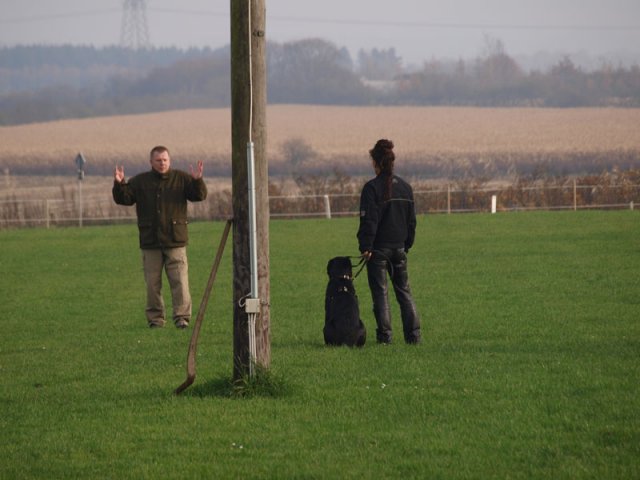 2011-11-06