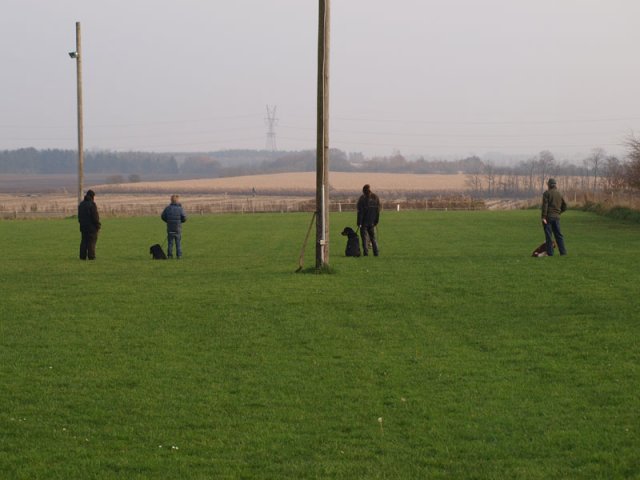 2011-11-06