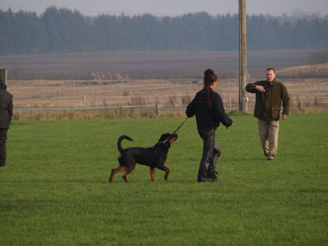 2011-11-06