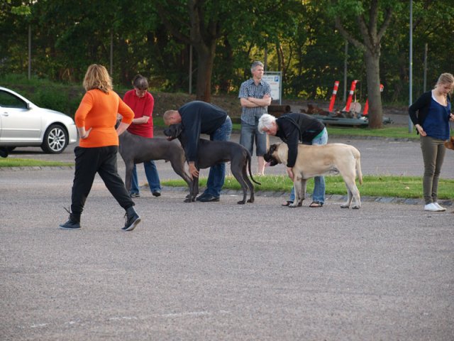 2012-05-23