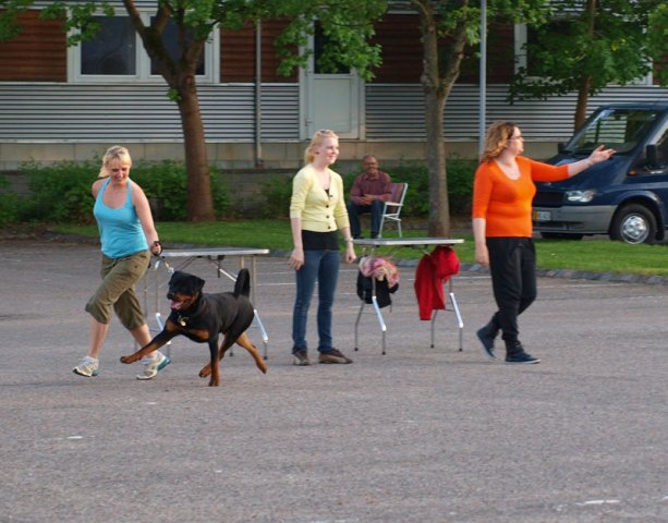 2012-05-23