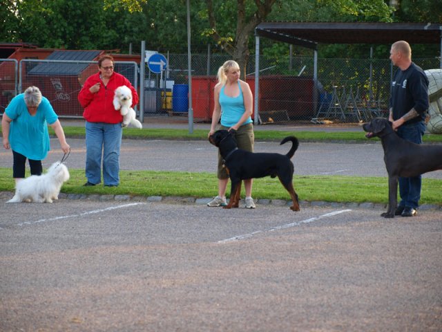 2012-05-23