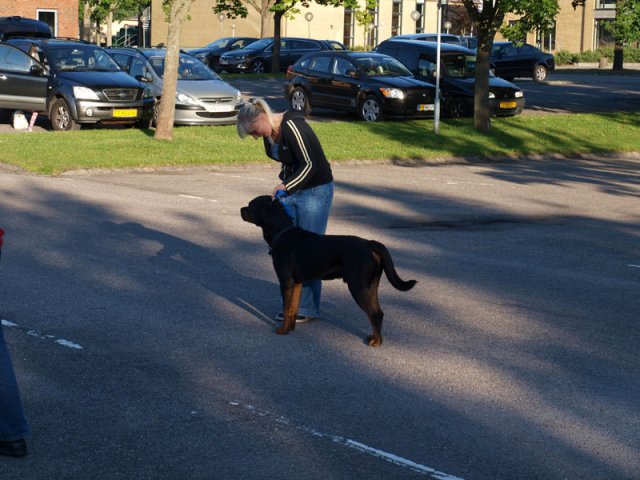 2012-06-20