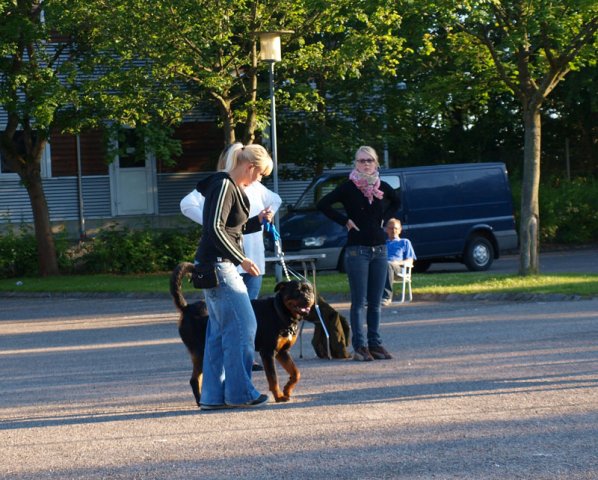 2012-06-20