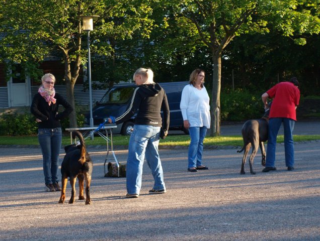 2012-06-20