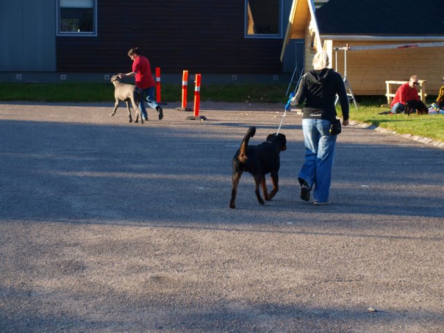 2012-06-20
