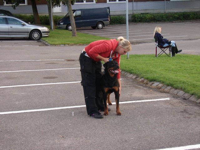 2012-08-29