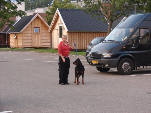 2012-08-29