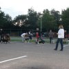 2012-08-29