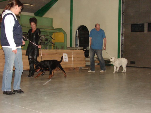 2012-08-24