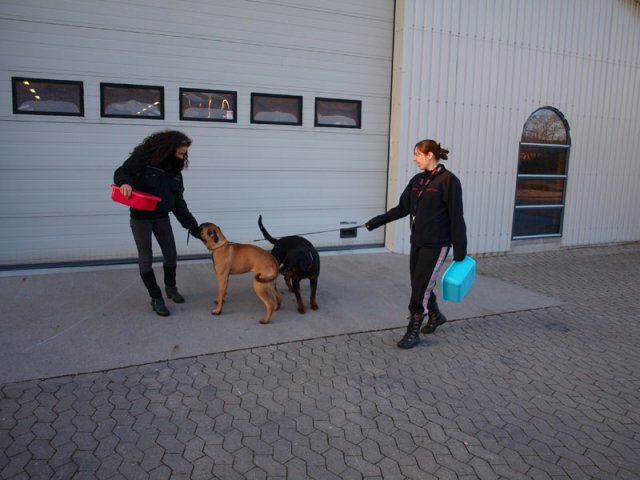 2013-03-14