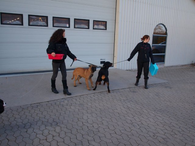 2013-03-14