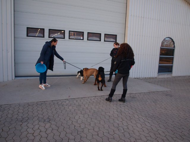 2013-03-14