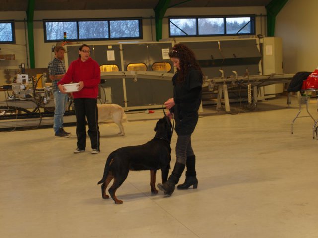 2013-03-14