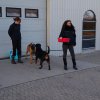 2013-03-14