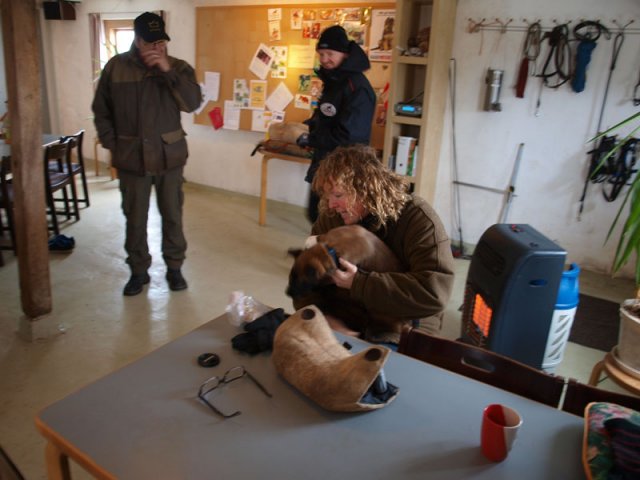 2013-03-16