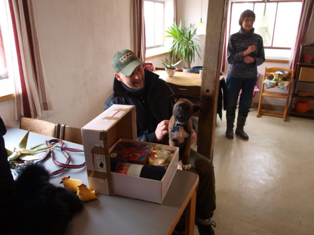 2013-03-16