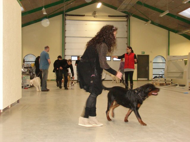 2013-03-21