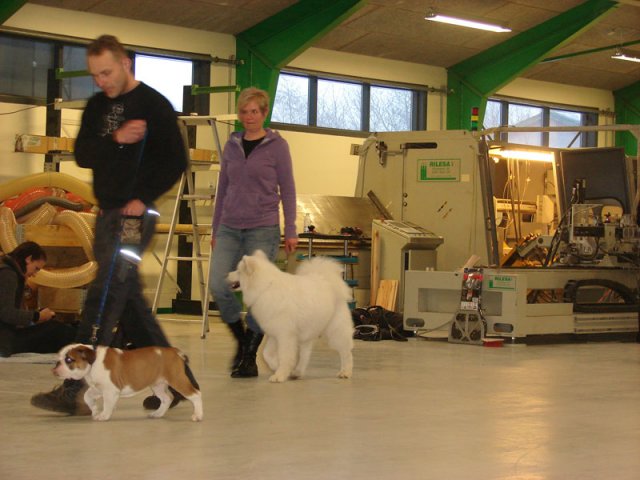 2013-03-21
