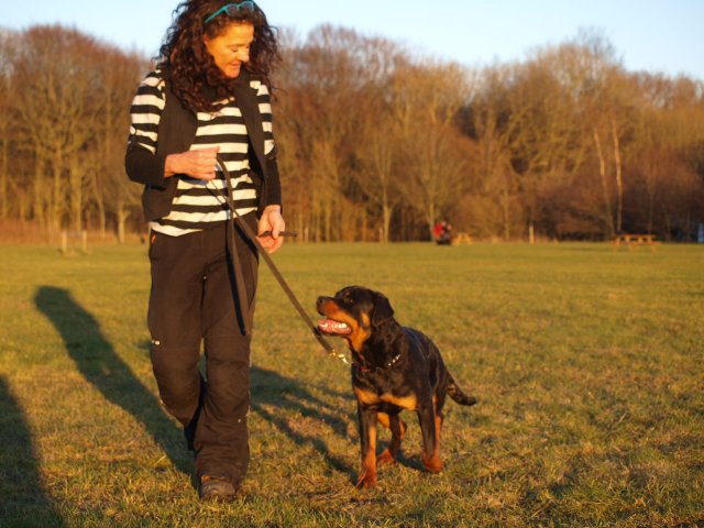 2014-03-13