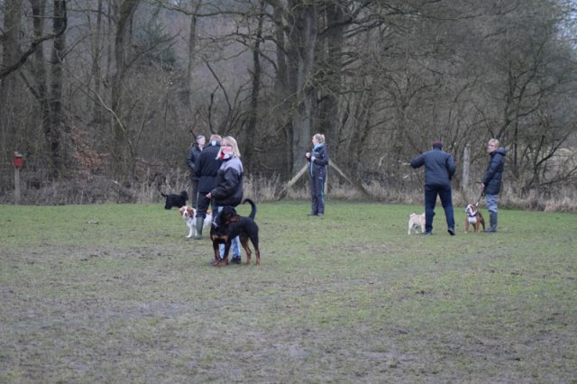2015-03-25
