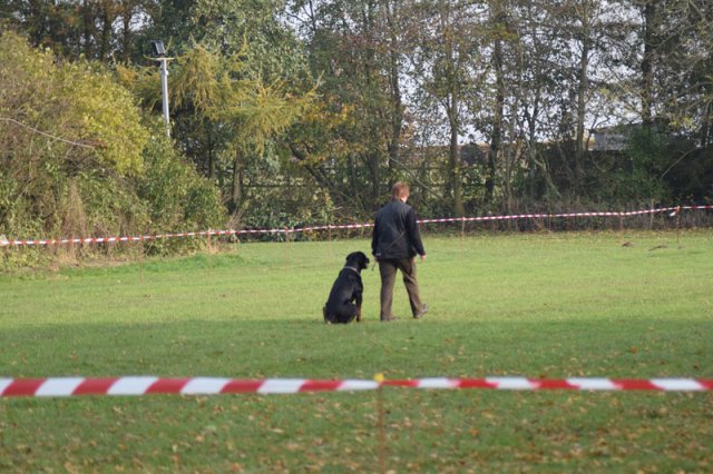 2015-10-31