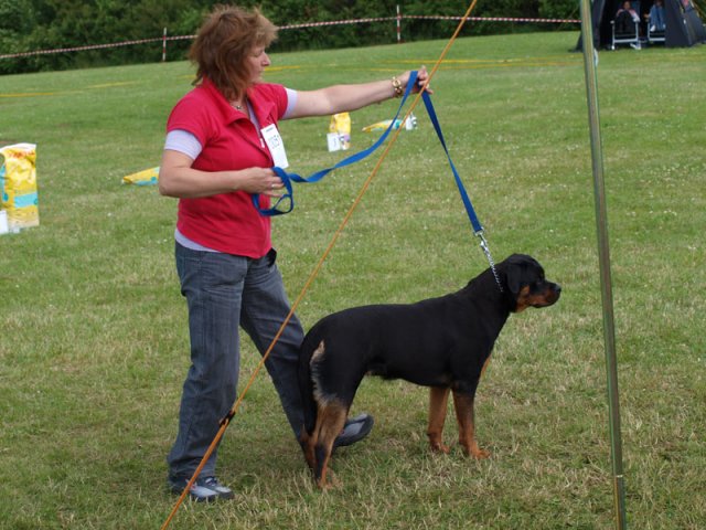 01-07-2012