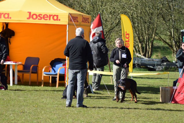 Linå lørdag 2015