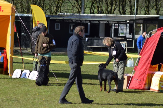 Linå lørdag 2015