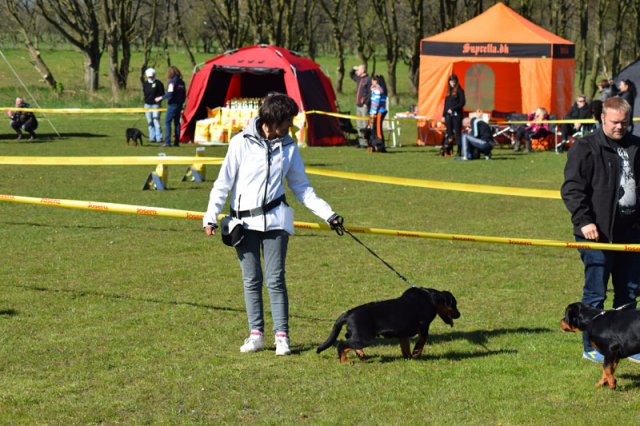 Linå lørdag 2015