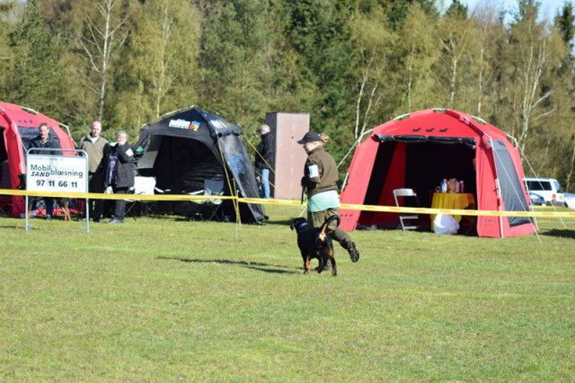 Linå lørdag 2015