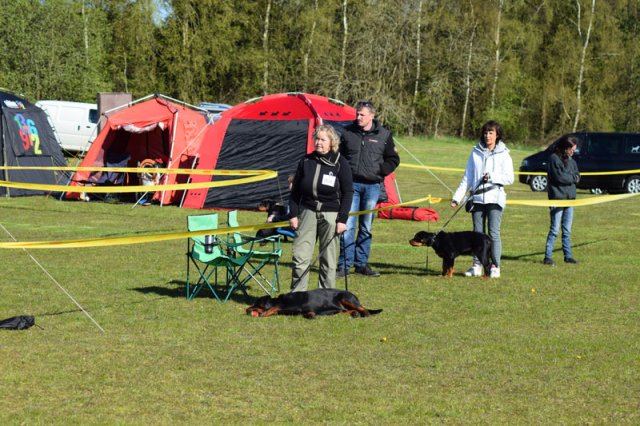Linå lørdag 2015