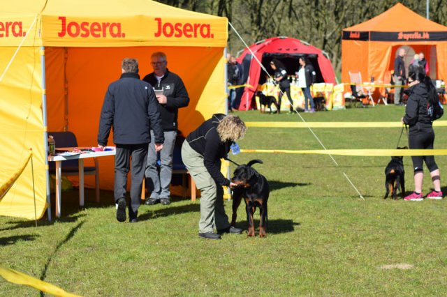 Linå lørdag 2015