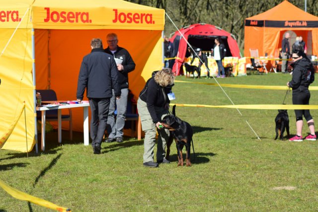 Linå lørdag 2015