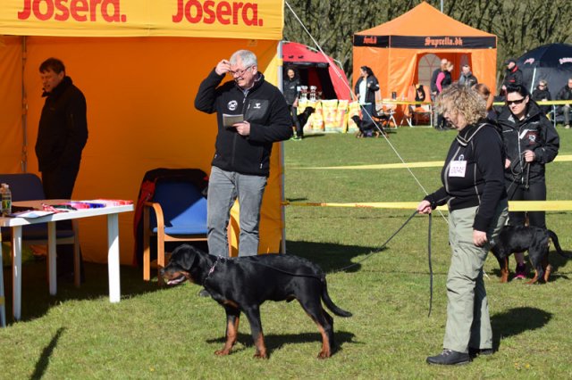 Linå lørdag 2015