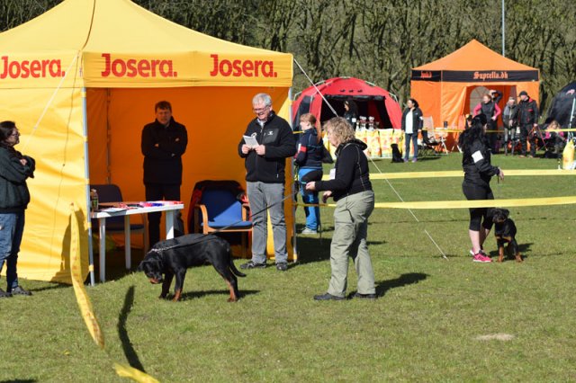 Linå lørdag 2015