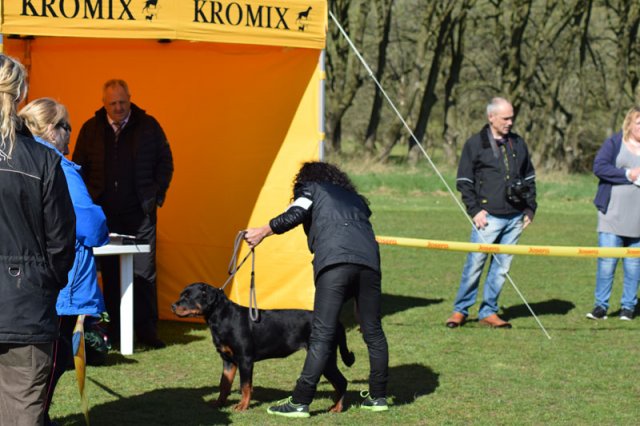 Linå lørdag 2015