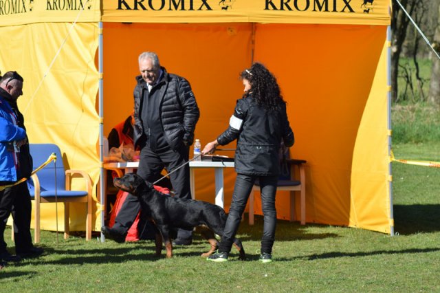 Linå lørdag 2015