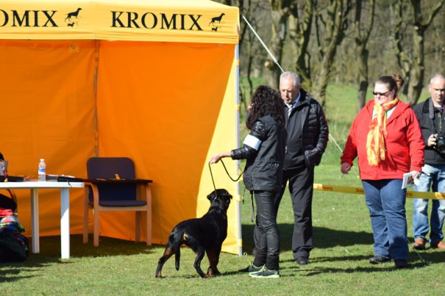 Linå lørdag 2015
