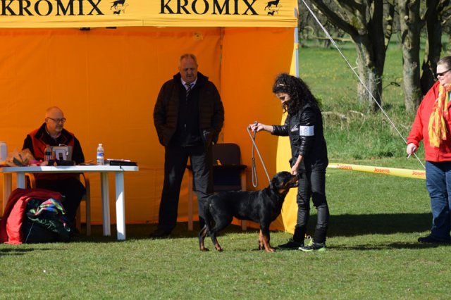 Linå lørdag 2015