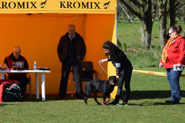 Linå lørdag 2015